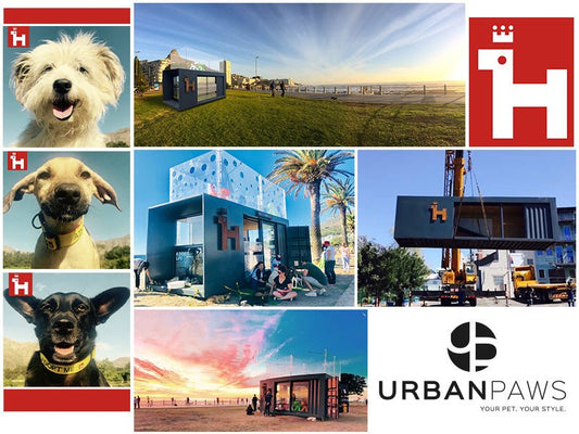 Pet Adoption Collab with WOOF Project – Adopt Don’t Shop | Urbanpaws