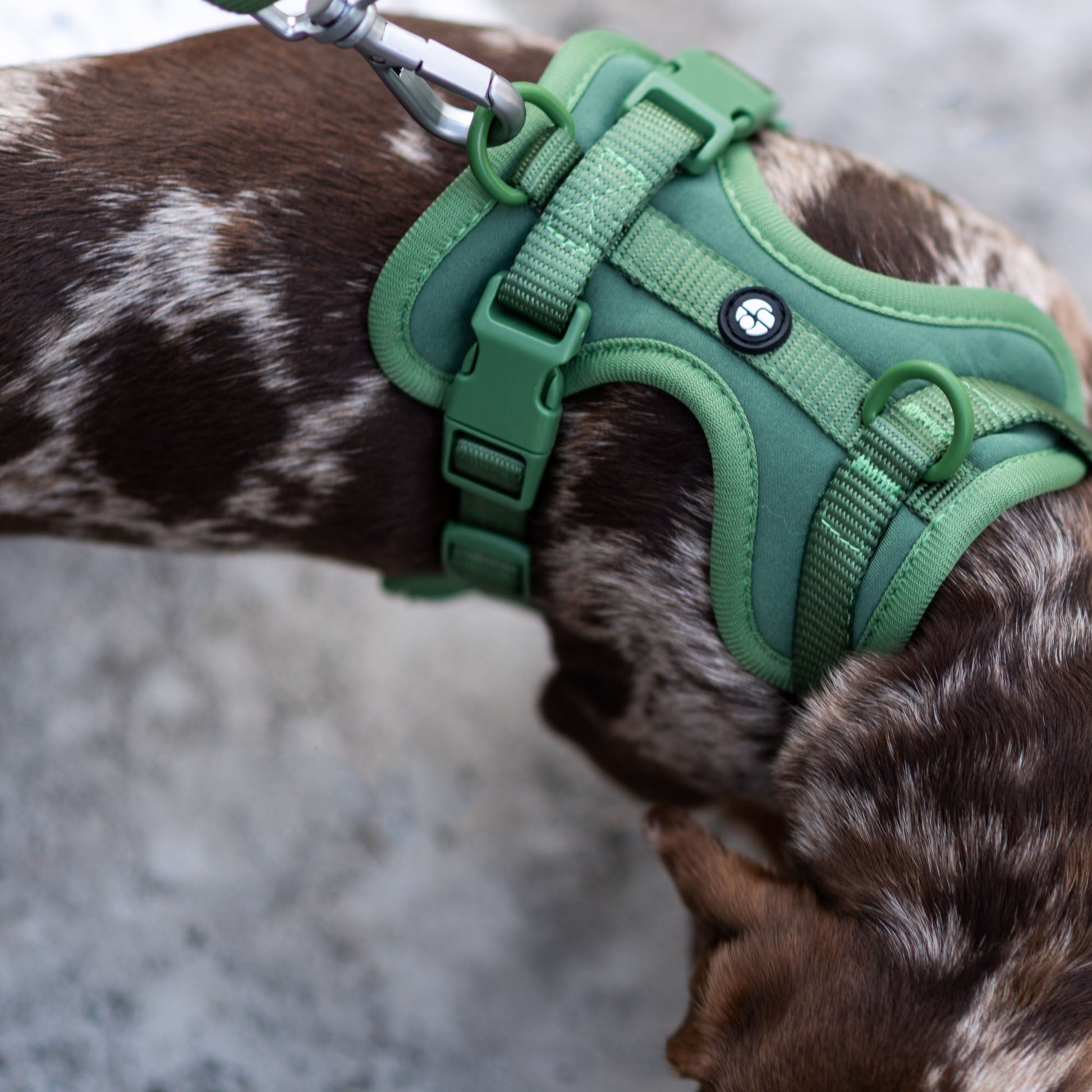 Active Padded Harness Green - Urbanpaws