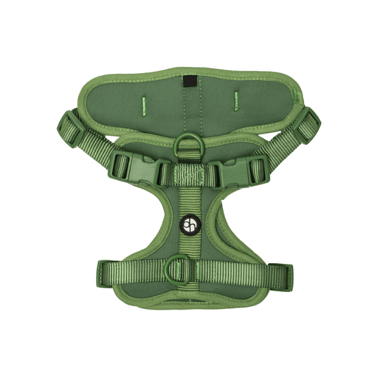 Active Padded Harness Green - Urbanpaws
