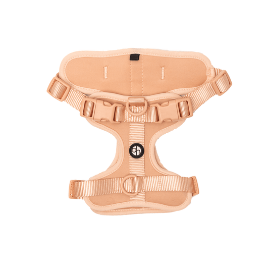 Active Padded Harness Pink - Urbanpaws