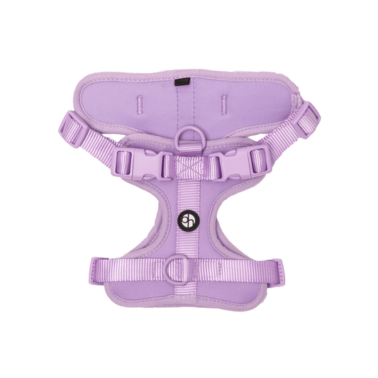Active Padded Harness Purple - Urbanpaws