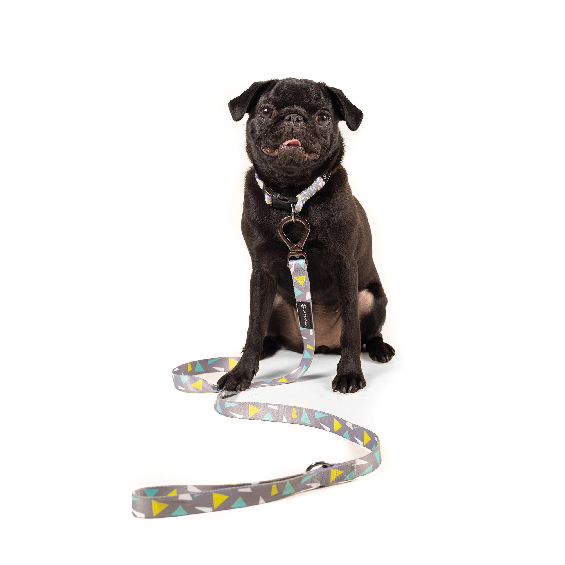 Alfie Lead - Dog Leash - Urbanpaws
