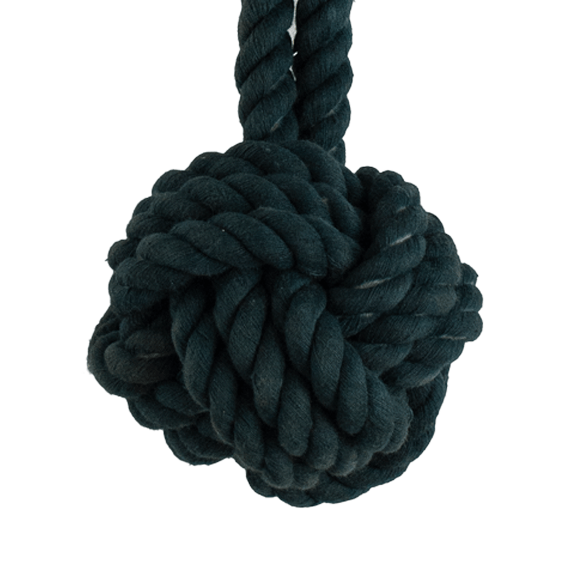 Ball And Handle Rope Toy - Teal - Dog Toys - Urbanpaws