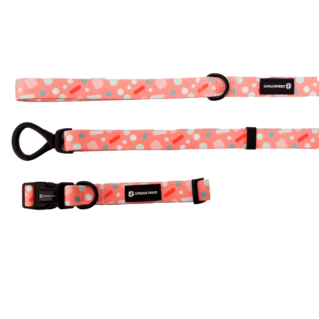 Bella Collar - Dog Collars - Urbanpaws