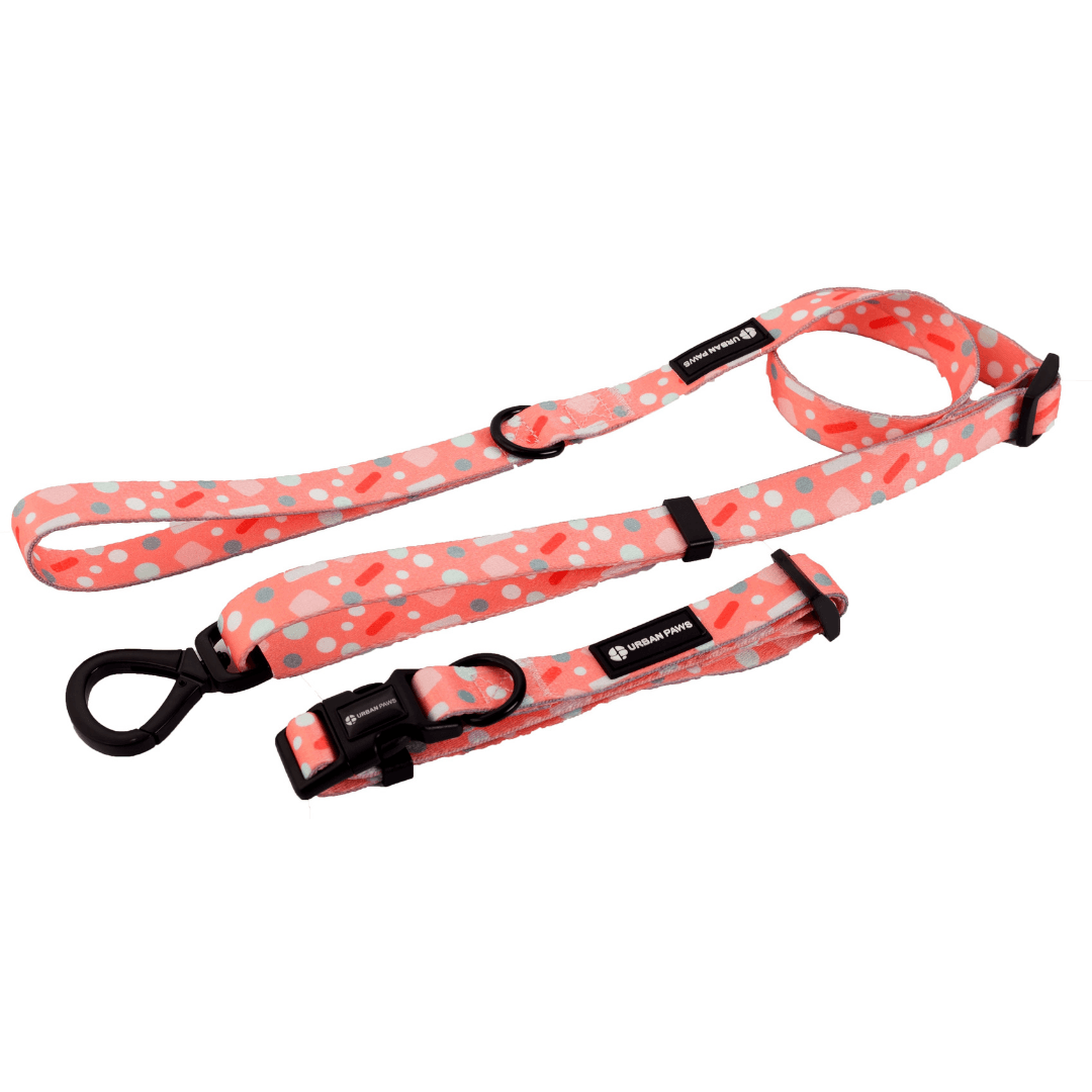 Bella Collar - Dog Collars - Urbanpaws