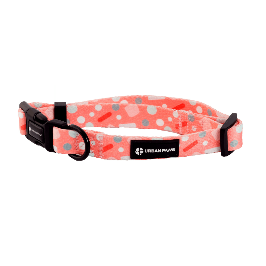 Bella Collar - Dog Collars - Urbanpaws