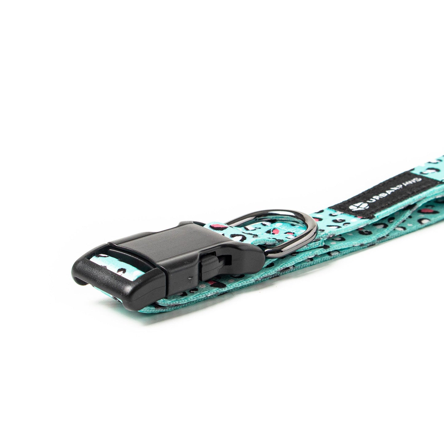 Bolt Collar - Dog Collars - Urbanpaws