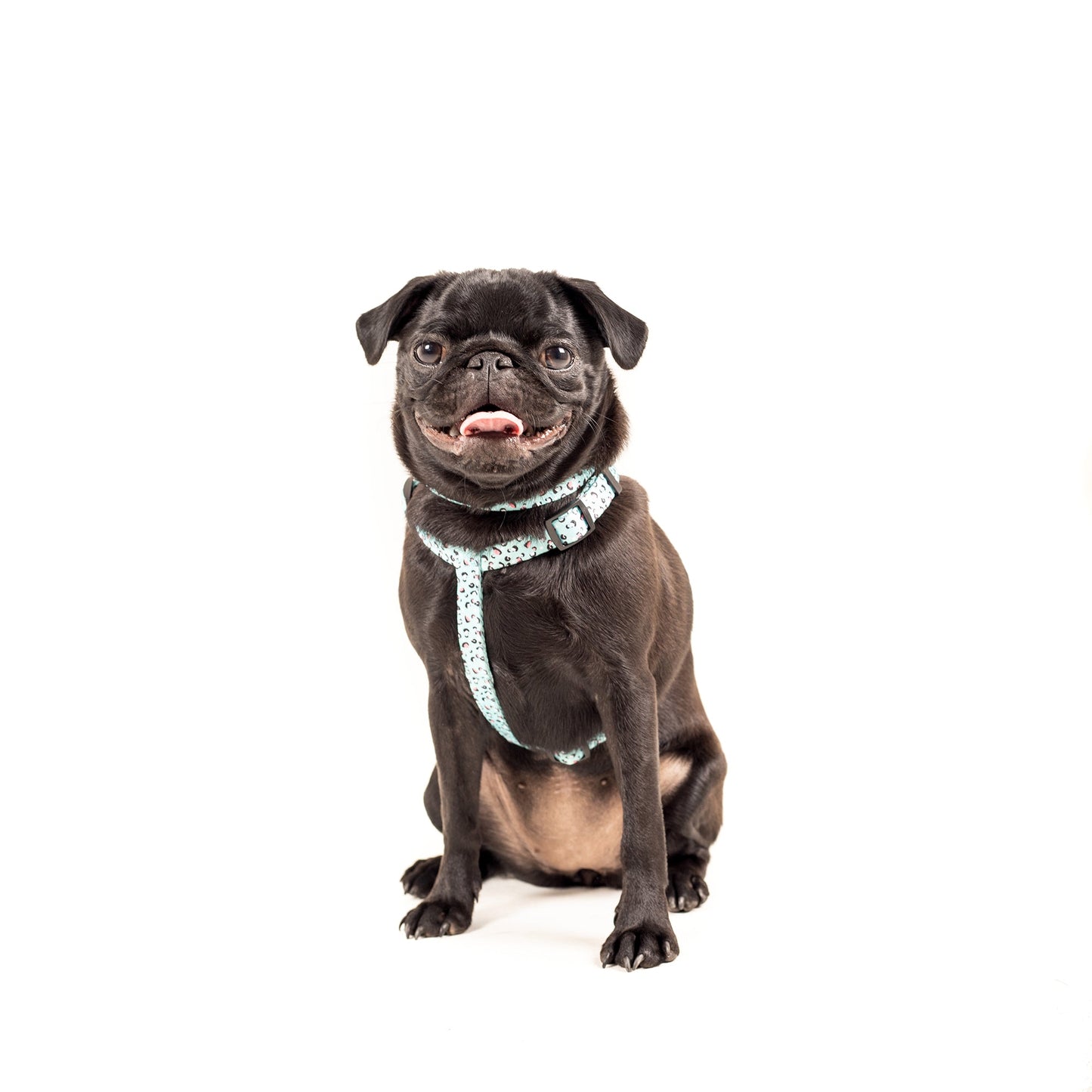 Bolt Harness - Dog Harness - Urbanpaws