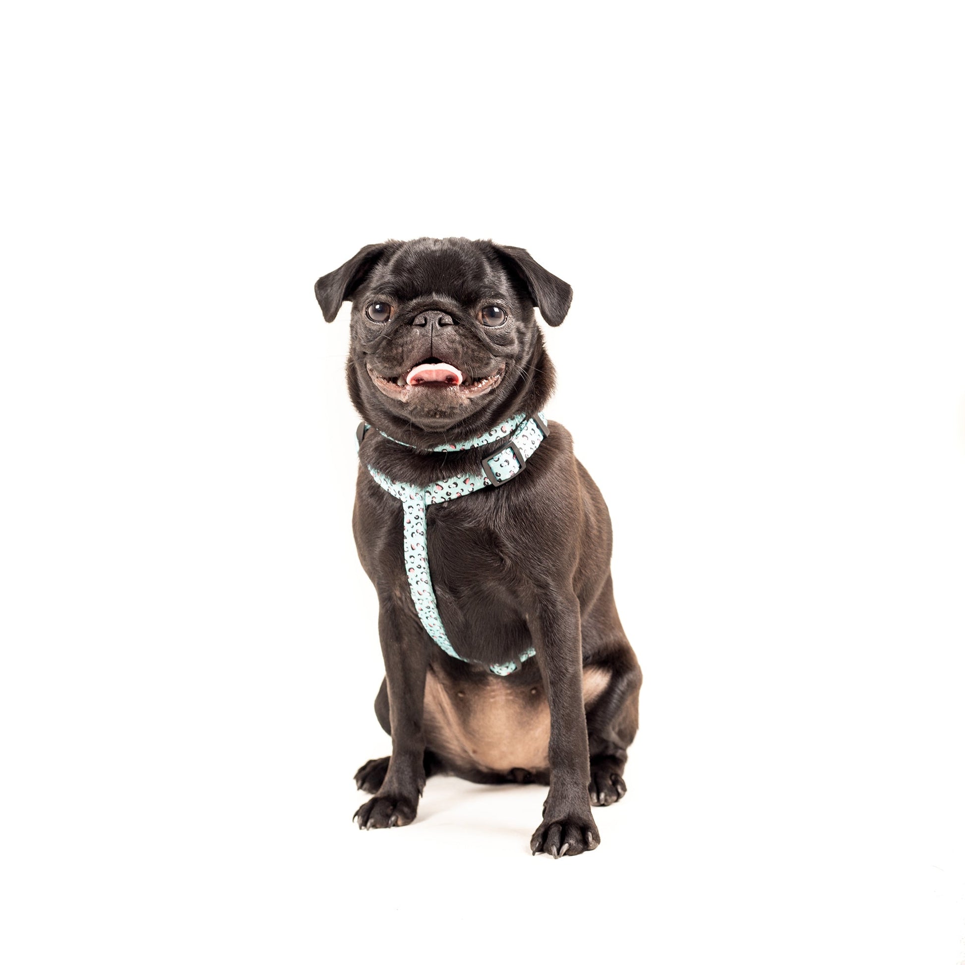 Bolt Harness - Dog Harness - Urbanpaws
