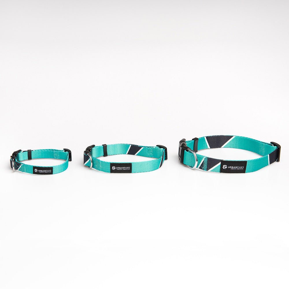 Duke Collar - Dog Collar - Urbanpaws