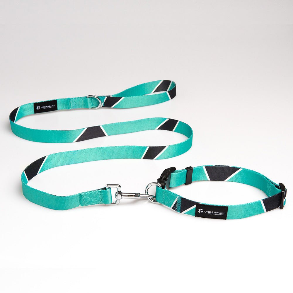 Duke Collar - Dog Collar - Urbanpaws