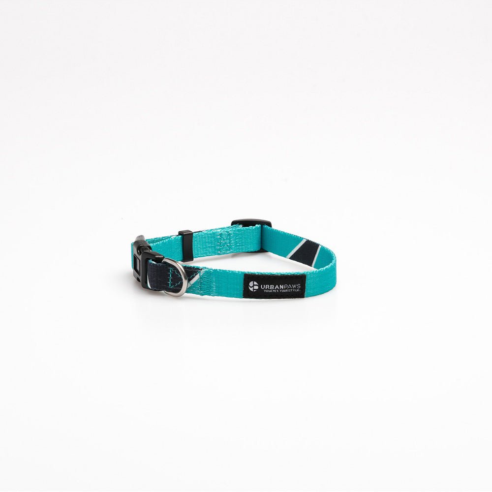 Duke Collar - Dog Collar - Urbanpaws