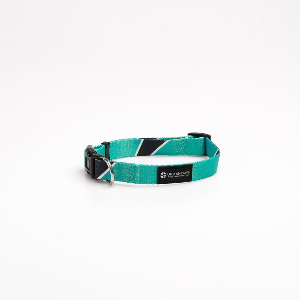 Duke Collar - Dog Collar - Urbanpaws