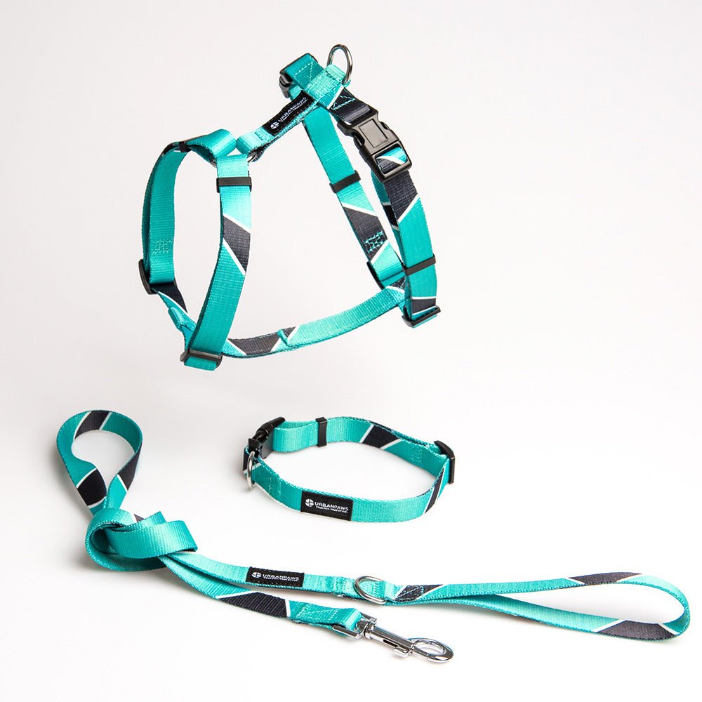 Duke Harness - Dog Harness - Urbanpaws