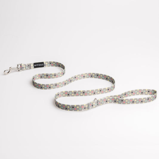 Einstein Lead - Dog Leash - Urbanpaws