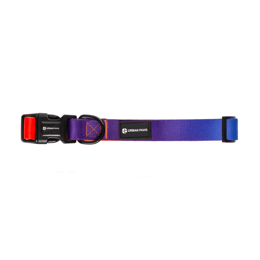 Finn Collar - Dog Collar - Urbanpaws