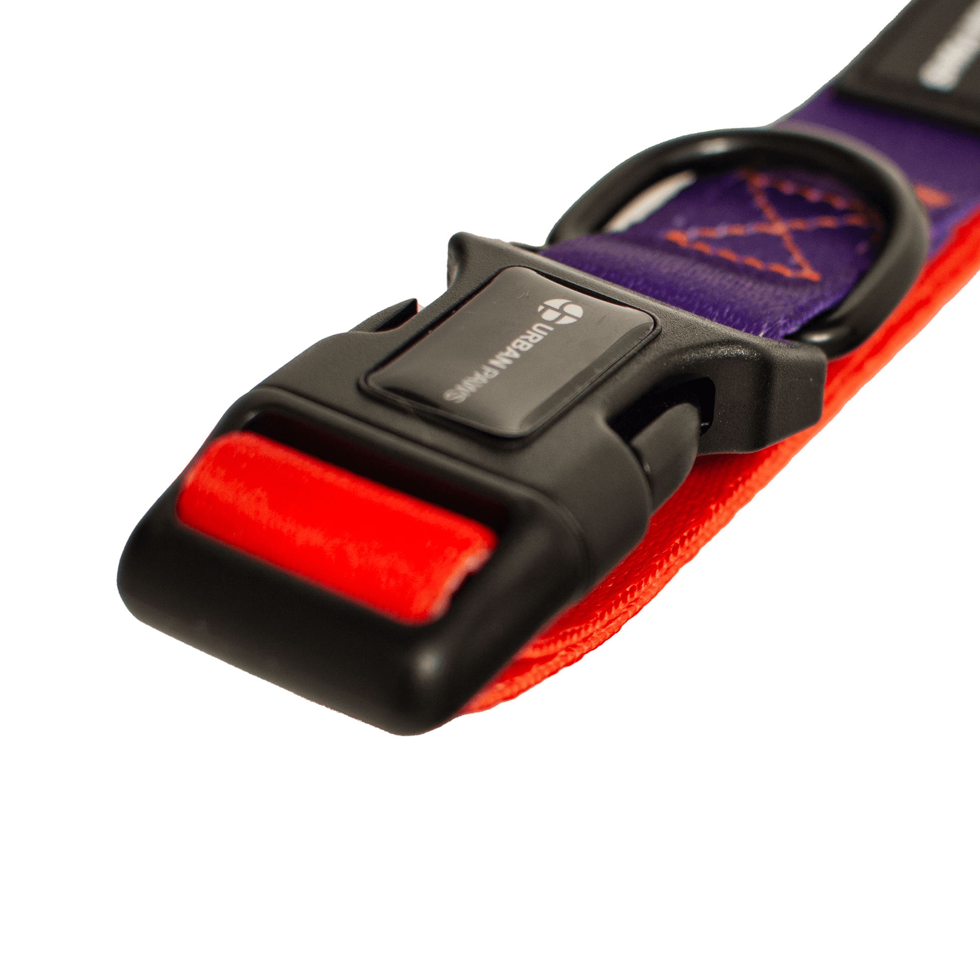 Finn Collar - Dog Collar - Urbanpaws