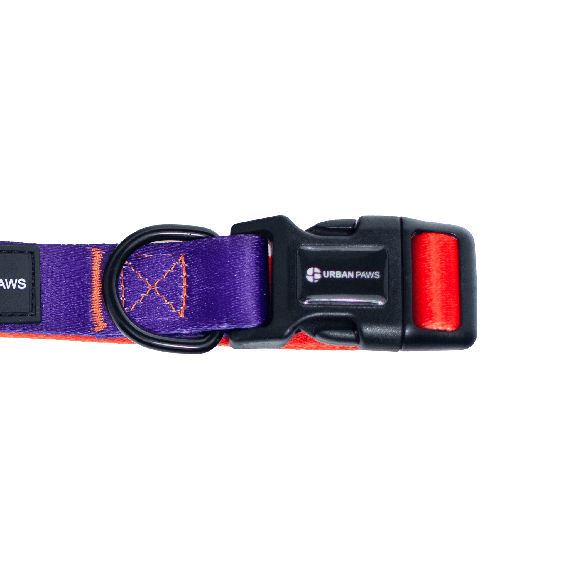 Finn Collar - Dog Collar - Urbanpaws