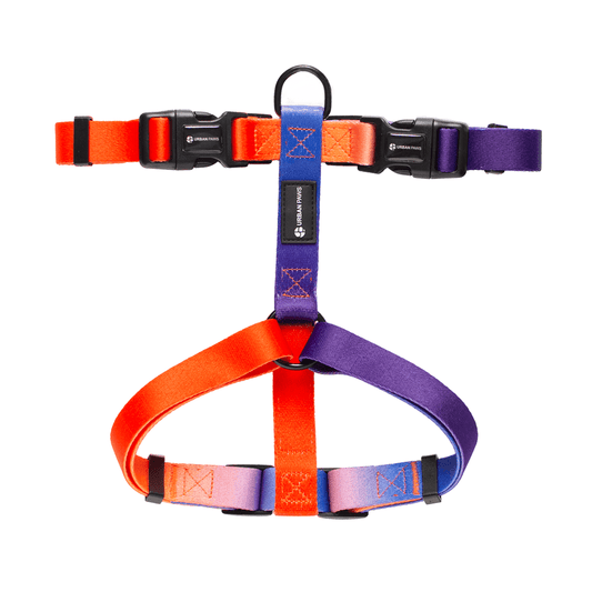 Finn Harness - Dog Harness - Urbanpaws