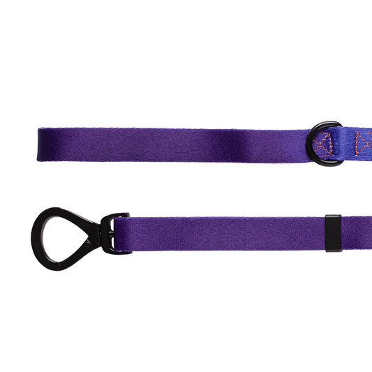Finn Lead - Dog Leash - Urbanpaws