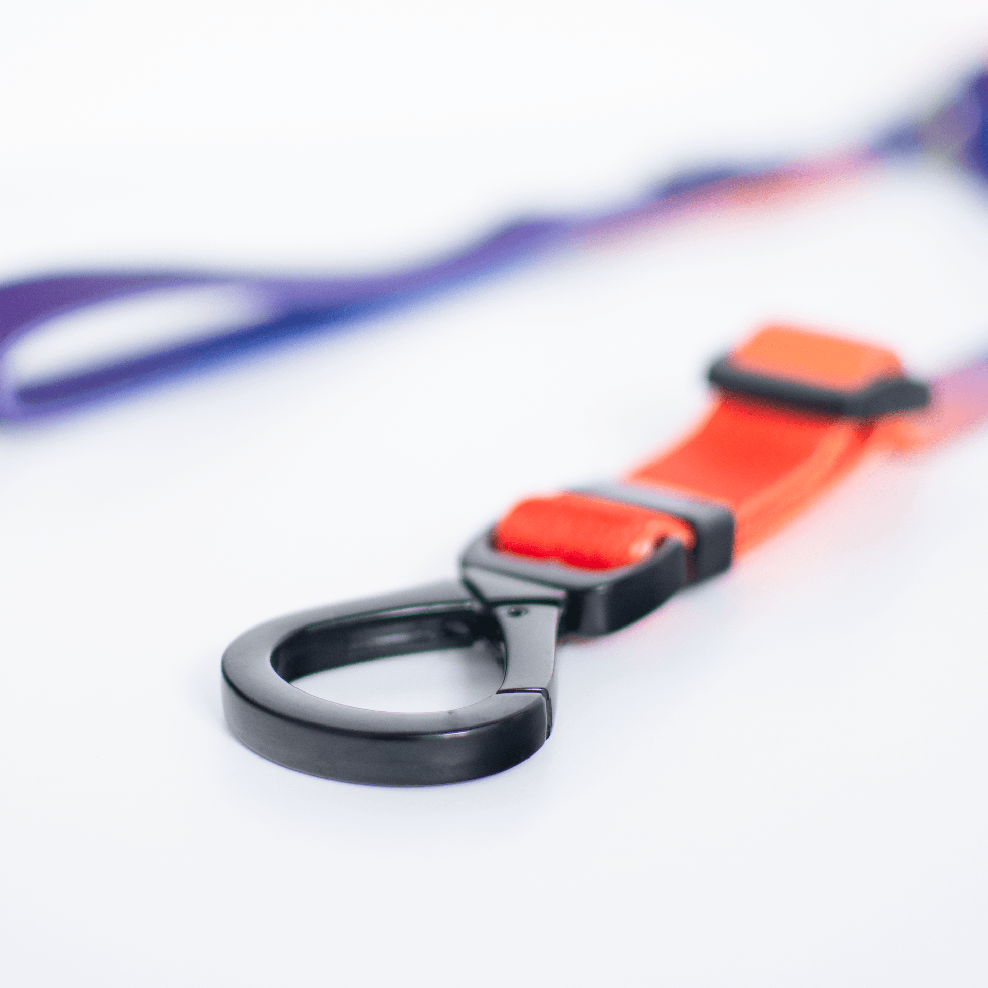 Finn Lead - Dog Leash - Urbanpaws