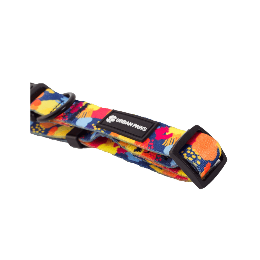 Frank Collar - Dog Collar - Urbanpaws