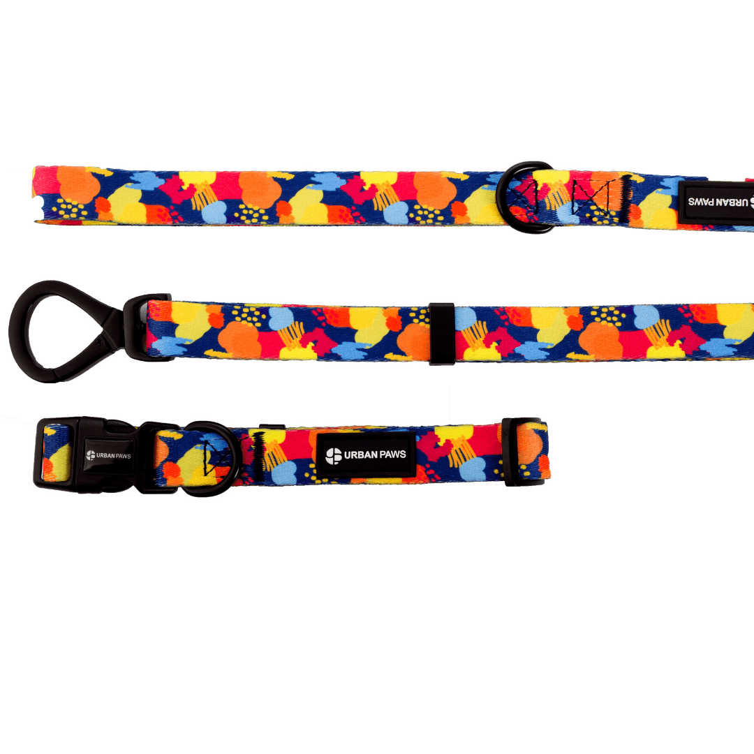 Frank Collar - Dog Collar - Urbanpaws