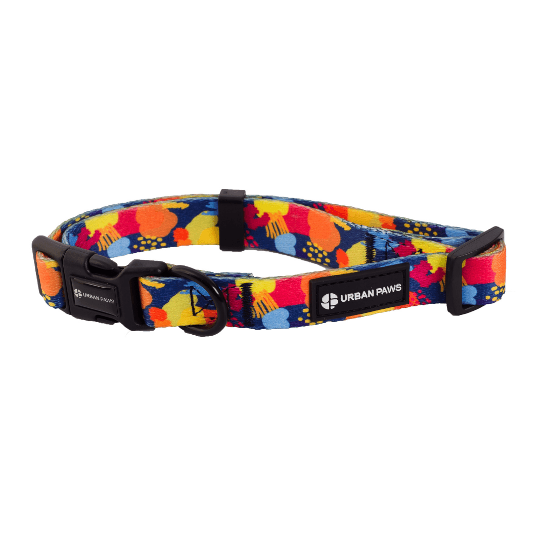 Frank Collar - Dog Collar - Urbanpaws