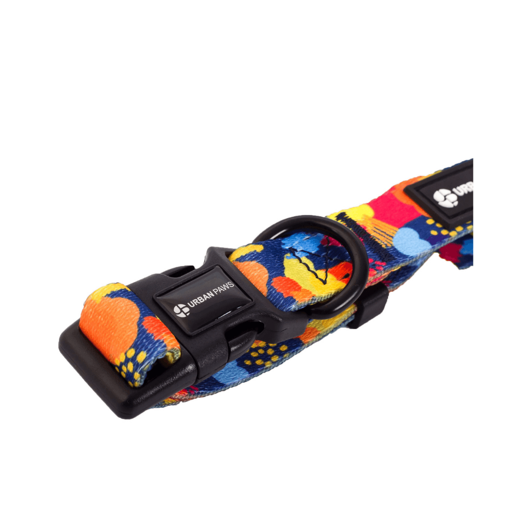 Frank Collar - Dog Collar - Urbanpaws