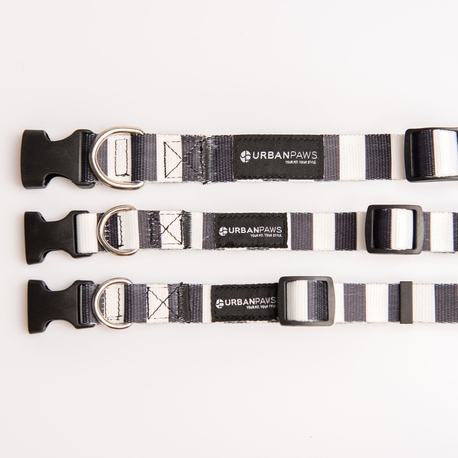 Jailbird Collar - Dog Collar - Urbanpaws