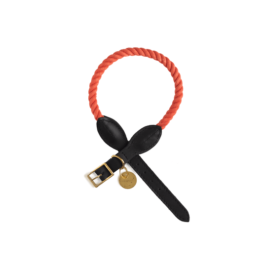 Leather And Rope Collar Coral - Dog Collar - Urbanpaws