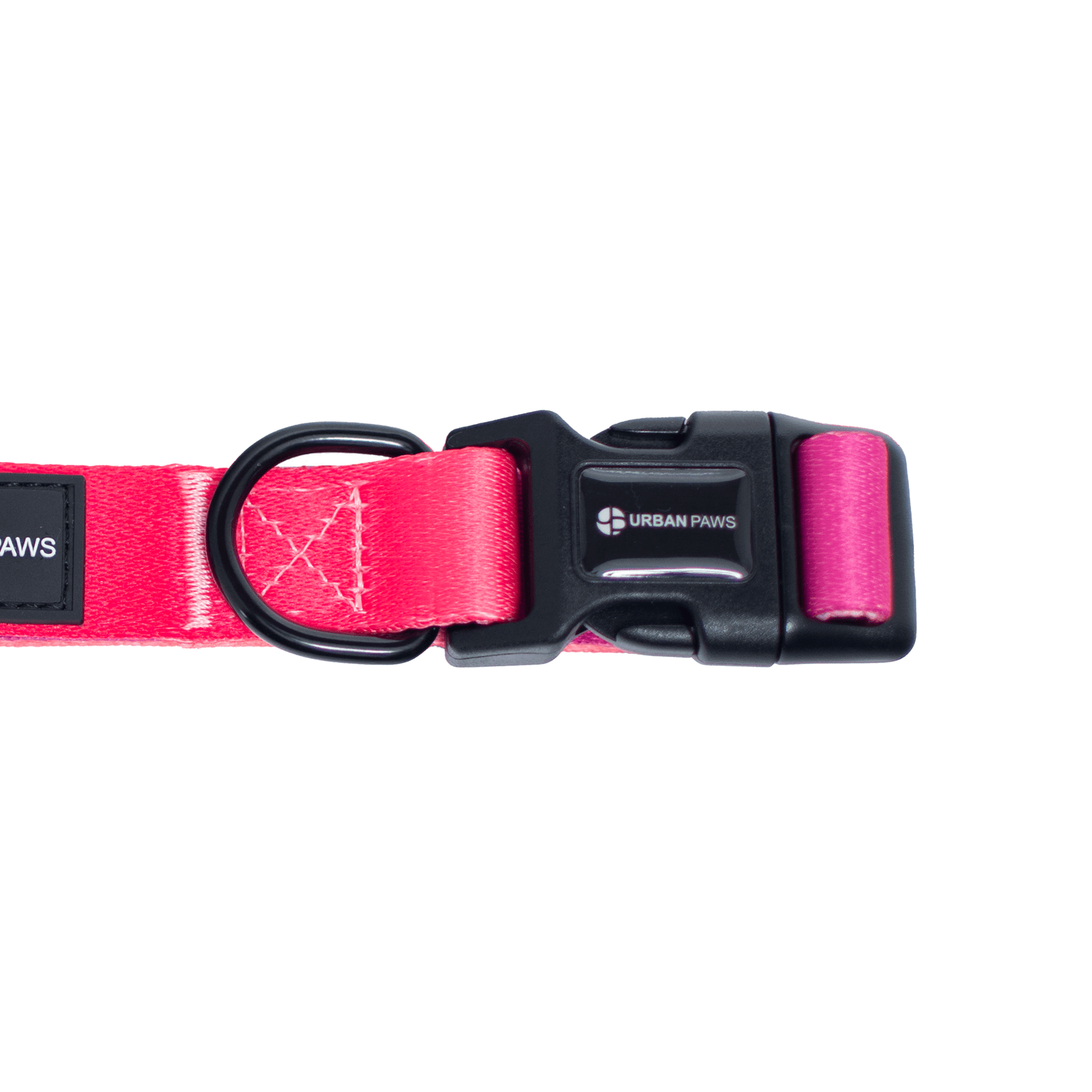 Lexi Collar - Dog Collars - Urbanpaws