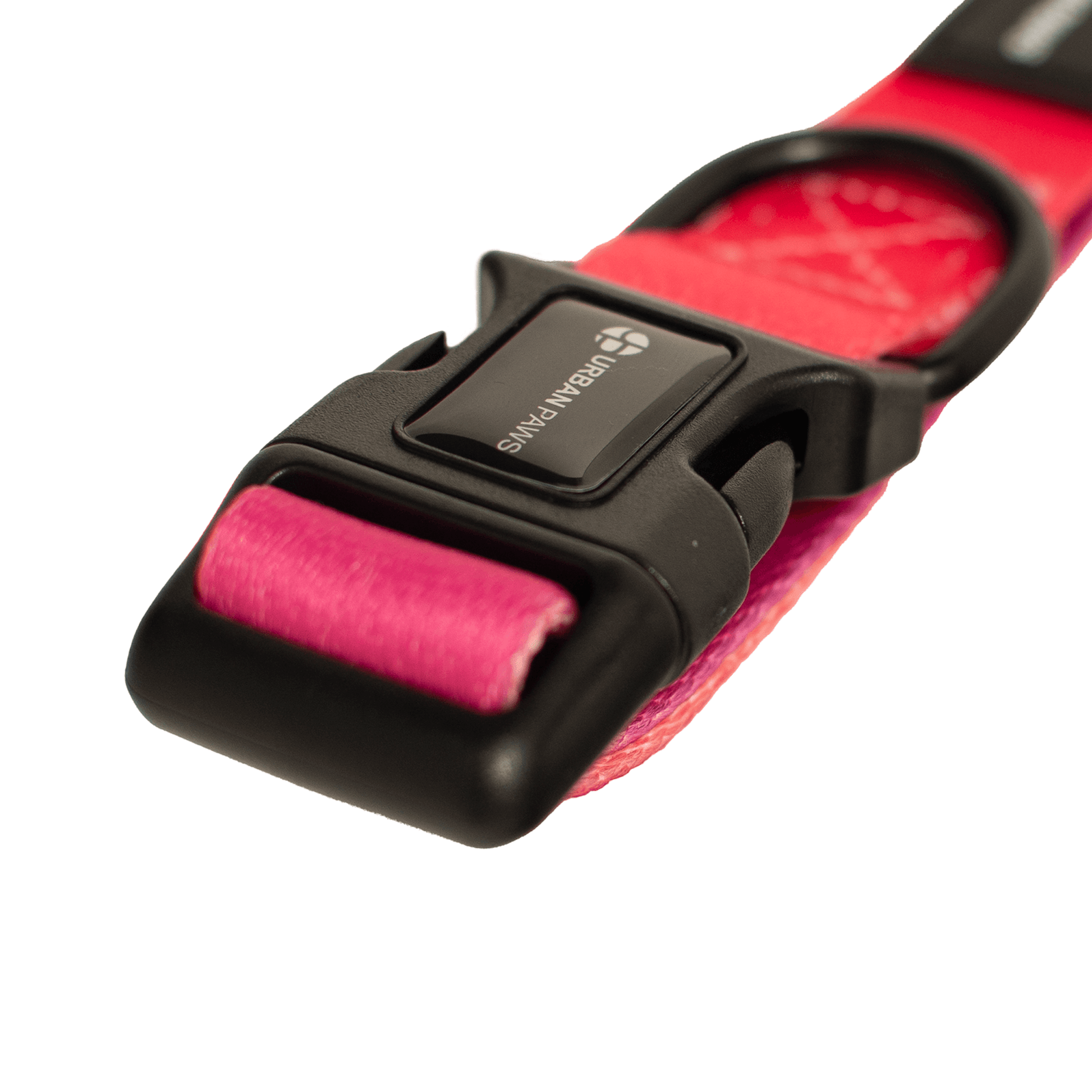Lexi Collar - Dog Collars - Urbanpaws