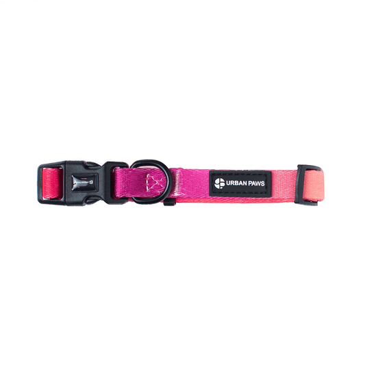 Lexi Collar - Dog Collars - Urbanpaws
