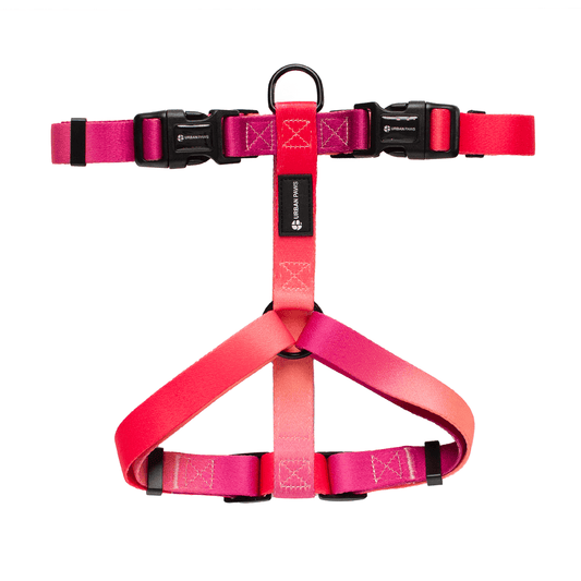 Lexi Harness - Dog Harness - Urbanpaws