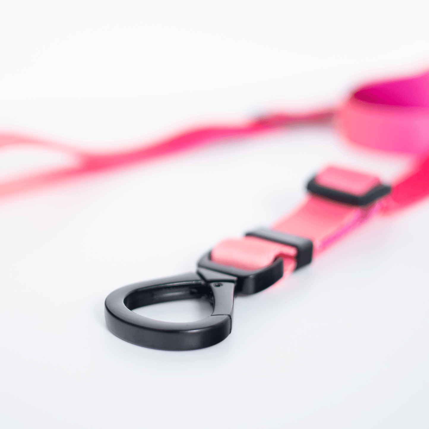 Lexi Lead - Dog Leash - Urbanpaws