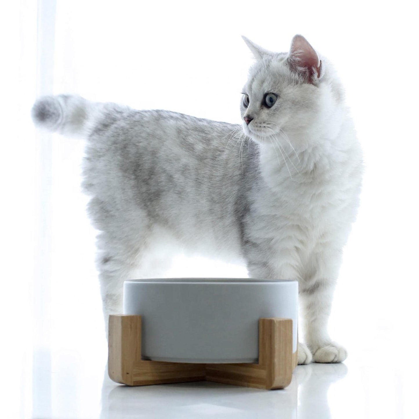 Raised Ceramic Bowl With Bamboo Stand - White - Pet Bowls