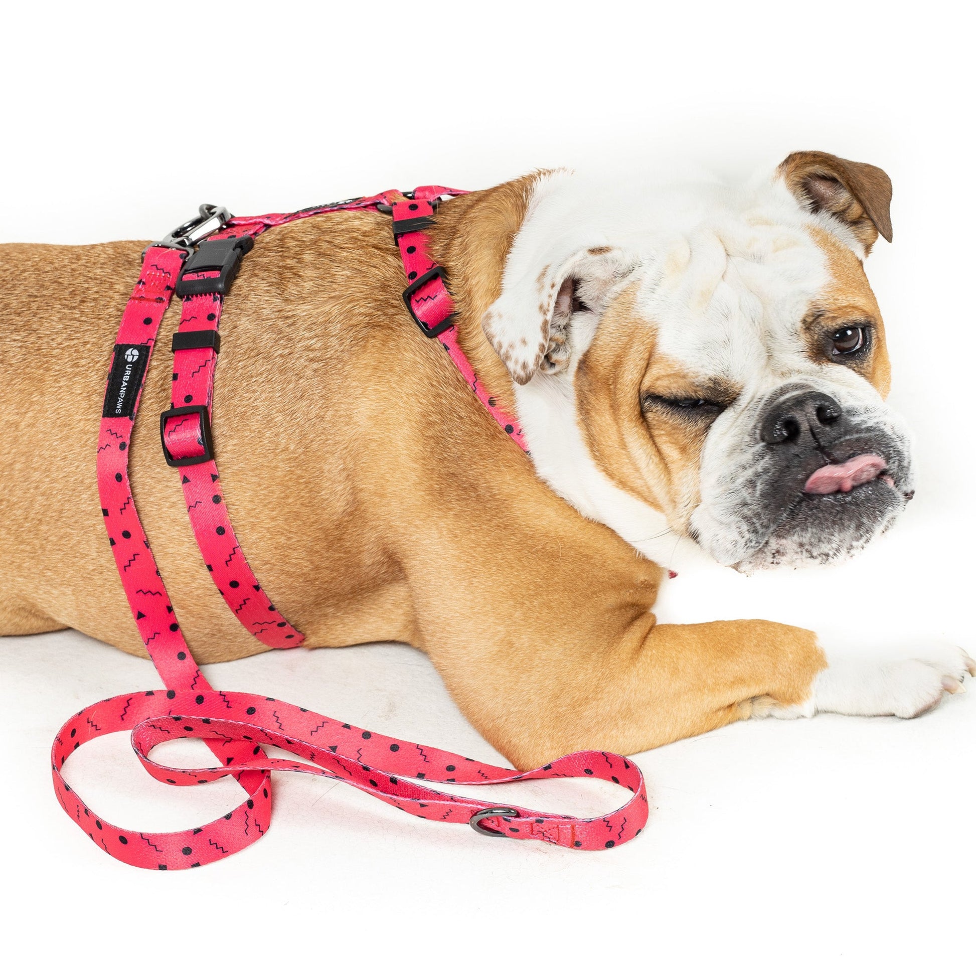 Lula Harness - Dog Harness - Urbanpaws
