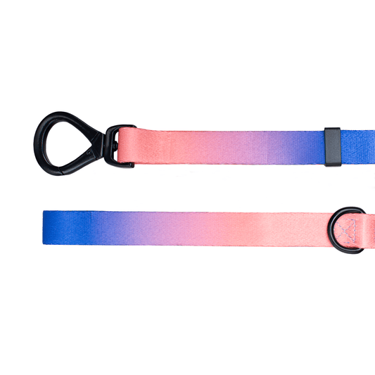 Missy Lead - Dog Leash - Urbanpaws