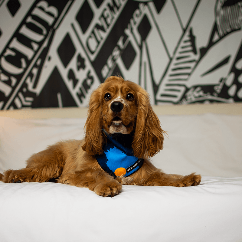Mutley Bandana - Dog Bandana - Urbanpaws