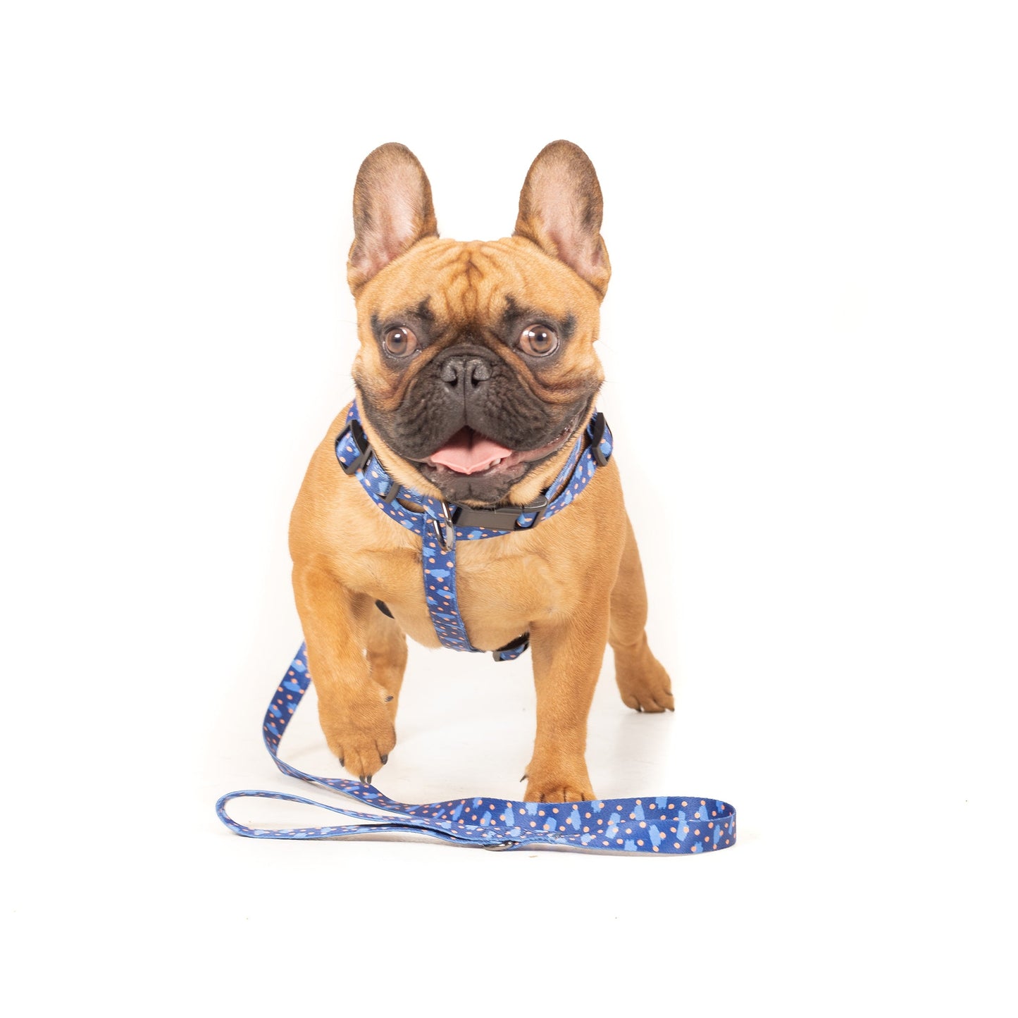Mutley Harness - Dog Harness - Urbanpaws