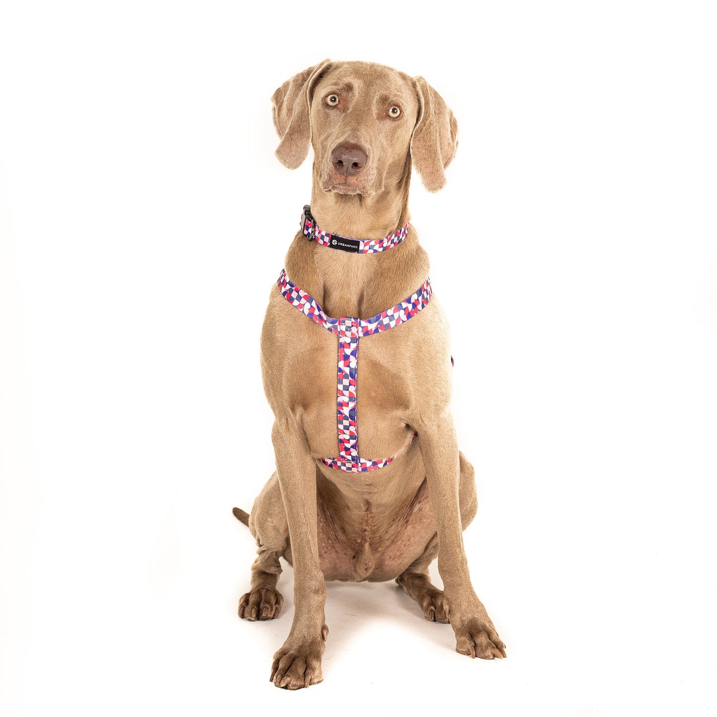 Pixel Harness - Dog Harness - Urbanpaws