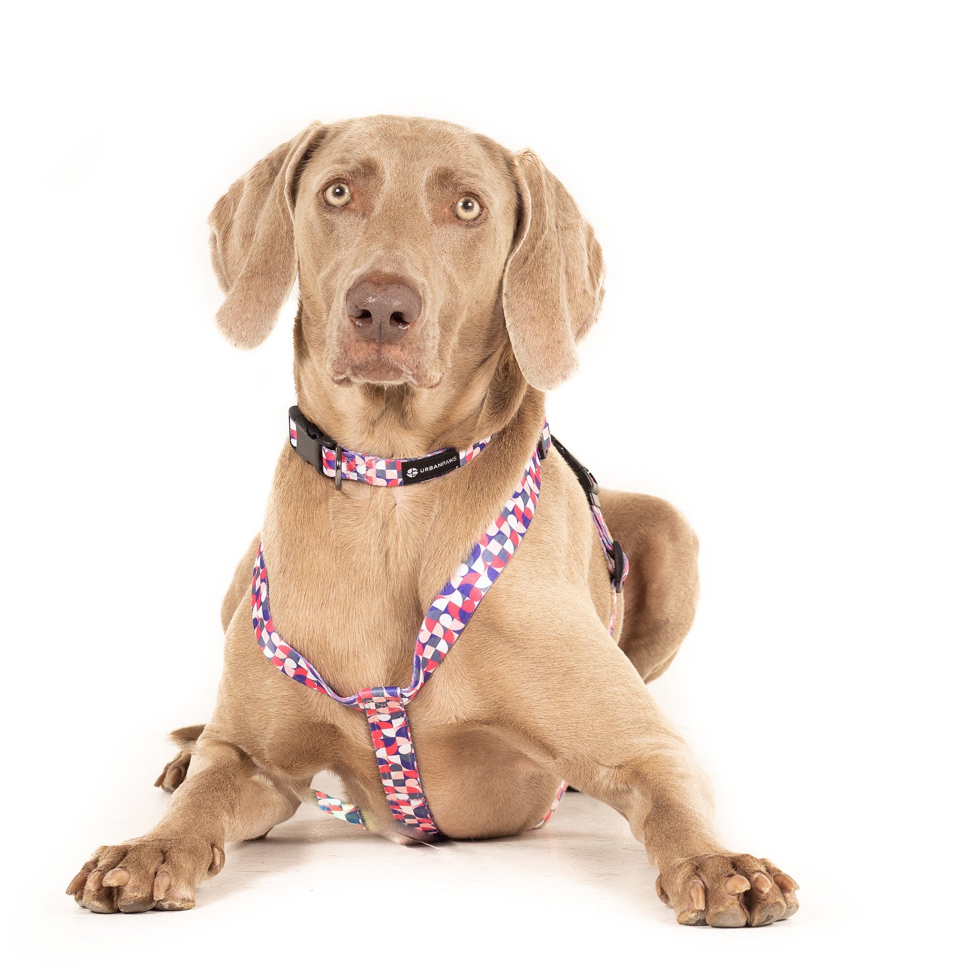 Pixel Lead - Dog Lead - Urbanpaws