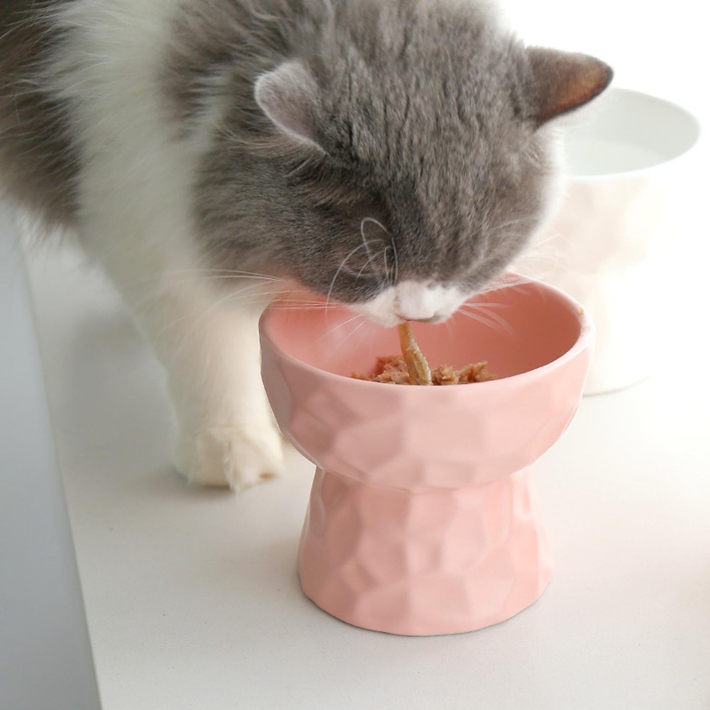 Raised Cat Ceramic Bowl Pink - Cat Bowls - Urbanpaws