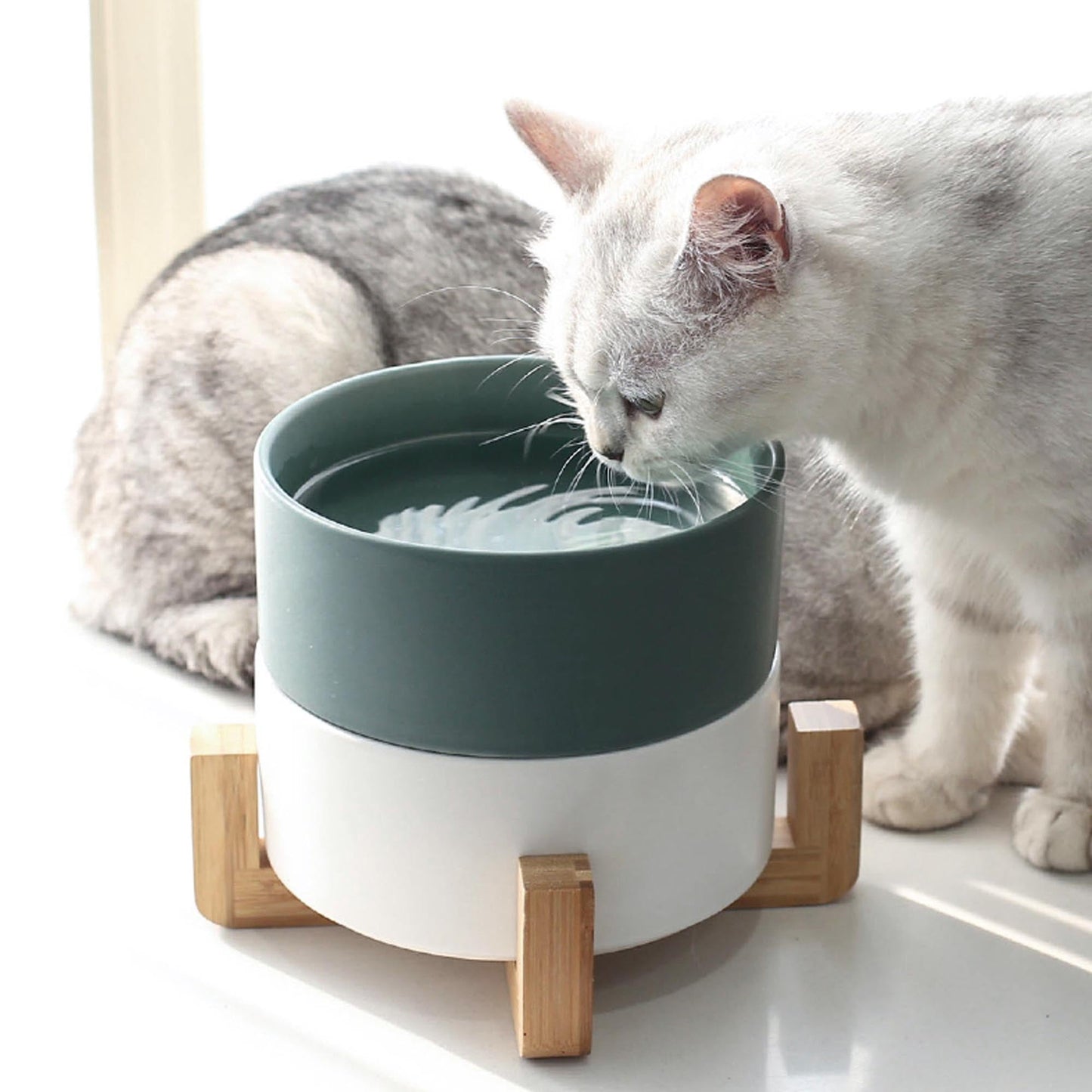 Raised Ceramic Bowl With Bamboo Stand - Black - Pet Bowl - Urbanpaws