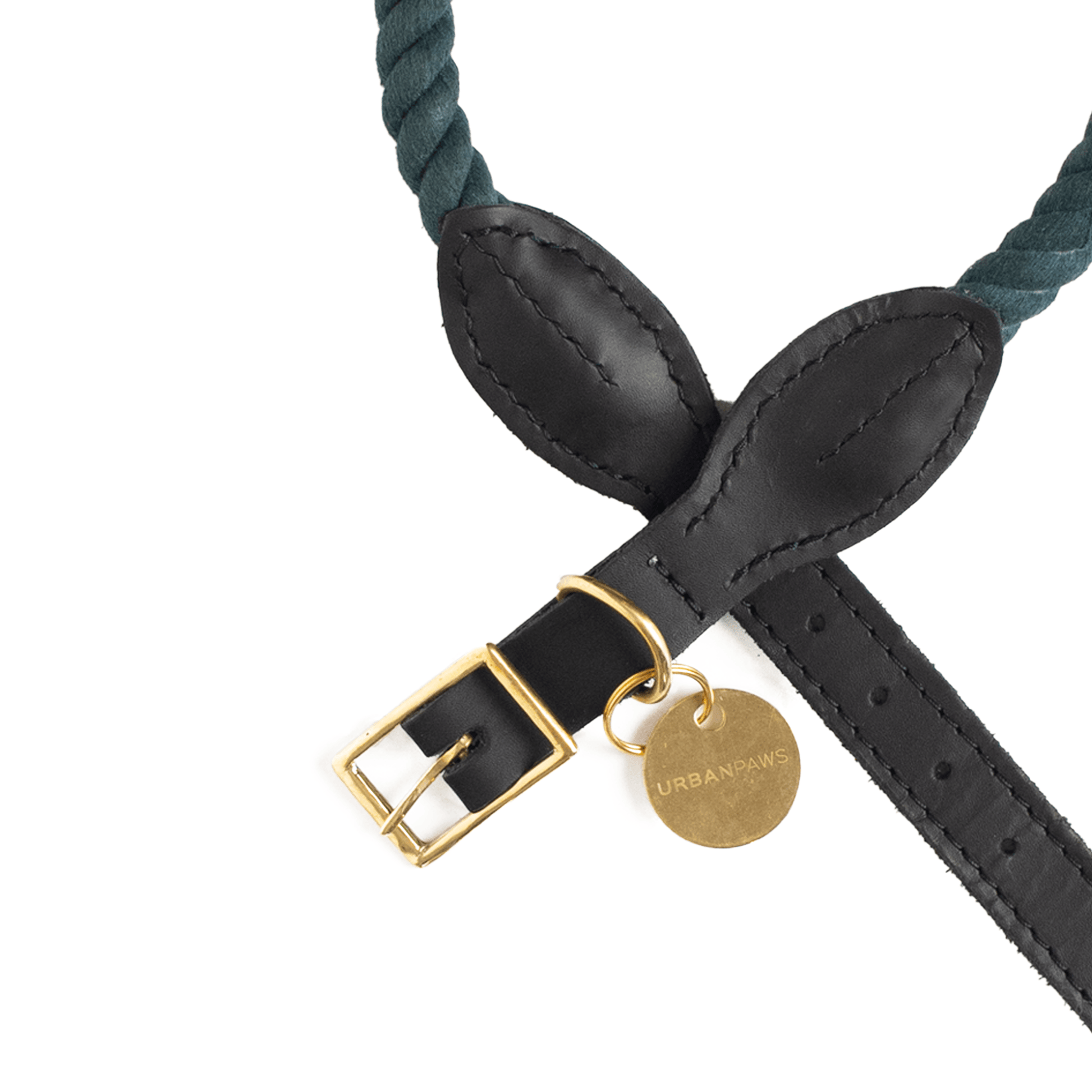 Rope And Leather Collar Teal - Leather Dog Collars - Urbanpaws