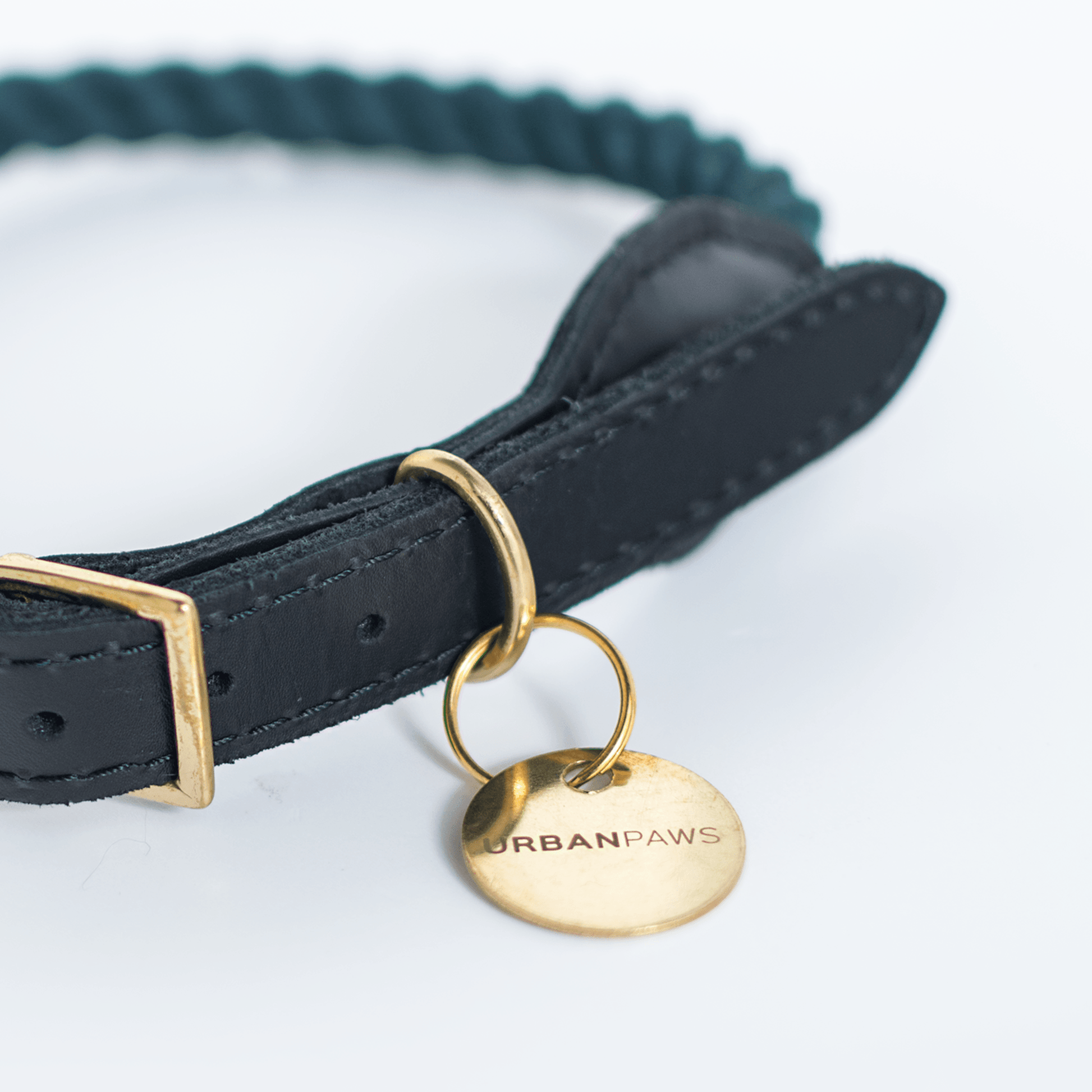 Rope And Leather Collar Teal - Leather Dog Collars - Urbanpaws
