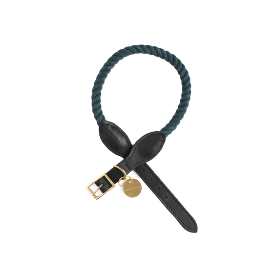 Rope And Leather Collar Teal - Leather Dog Collars - Urbanpaws