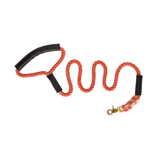 Rope And Leather Lead Coral - Rope Dog Leash - Urbanpaws