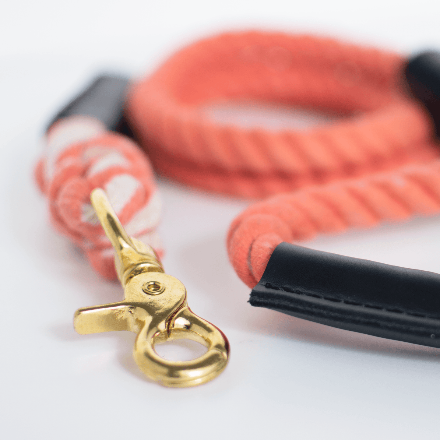 Rope And Leather Lead Coral - Rope Dog Leash - Urbanpaws